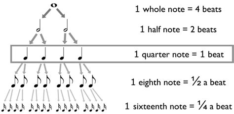 How Long Is a Beat in Music: An Elaborate Discussion