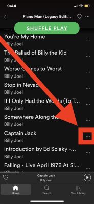 how to download music from spotify to iphone: exploring various methods and their pros and cons